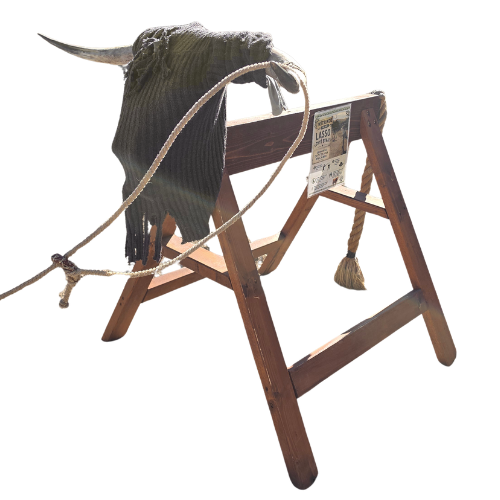 🐂 CHYTANIE BÝKA LASOM